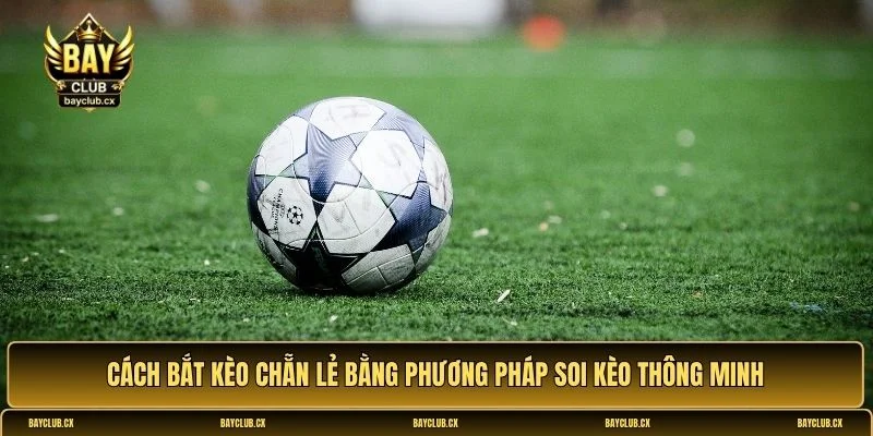 Cách bắt kèo chẵn lẻ