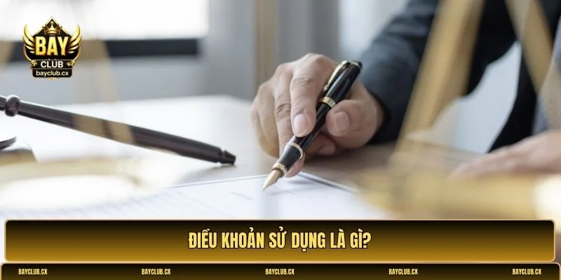 Điều khoản sử dụng