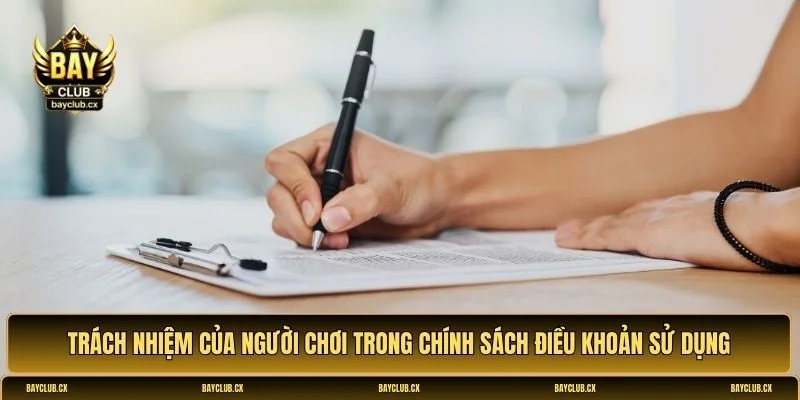 Điều khoản sử dụng